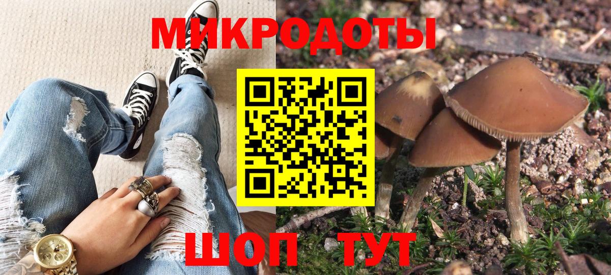 Псилоцибиновые грибы Psilocybine cubensis Ессентуки