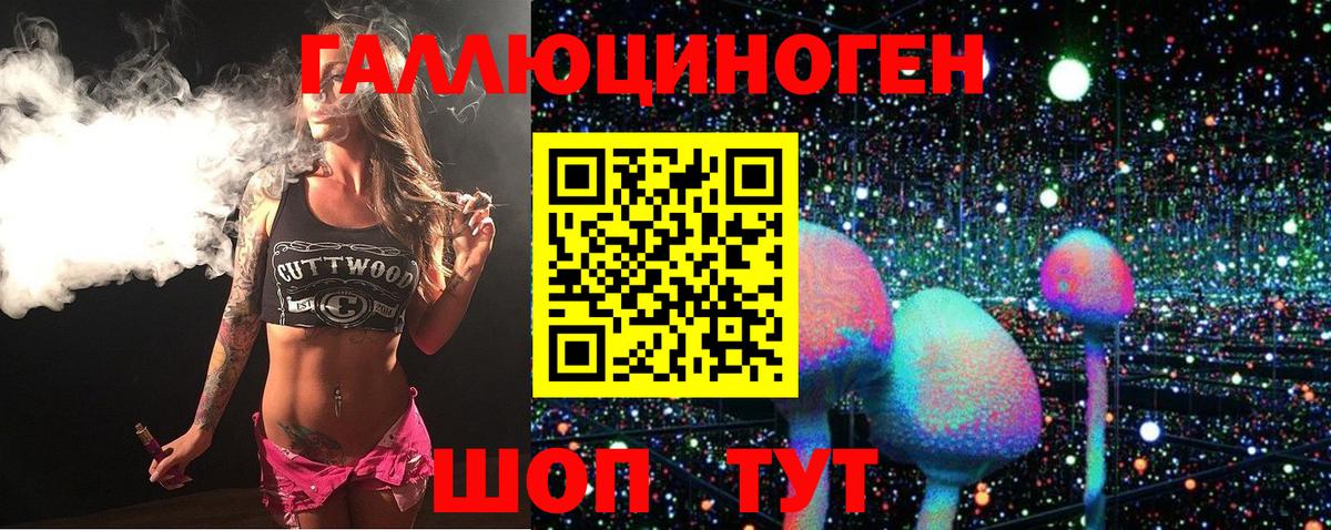 Ессентуки  Псилоцибиновые грибы MAGIC MUSHROOMS  где продают   Вход с VPN  Галлюциногенные грибы Psilocybe 