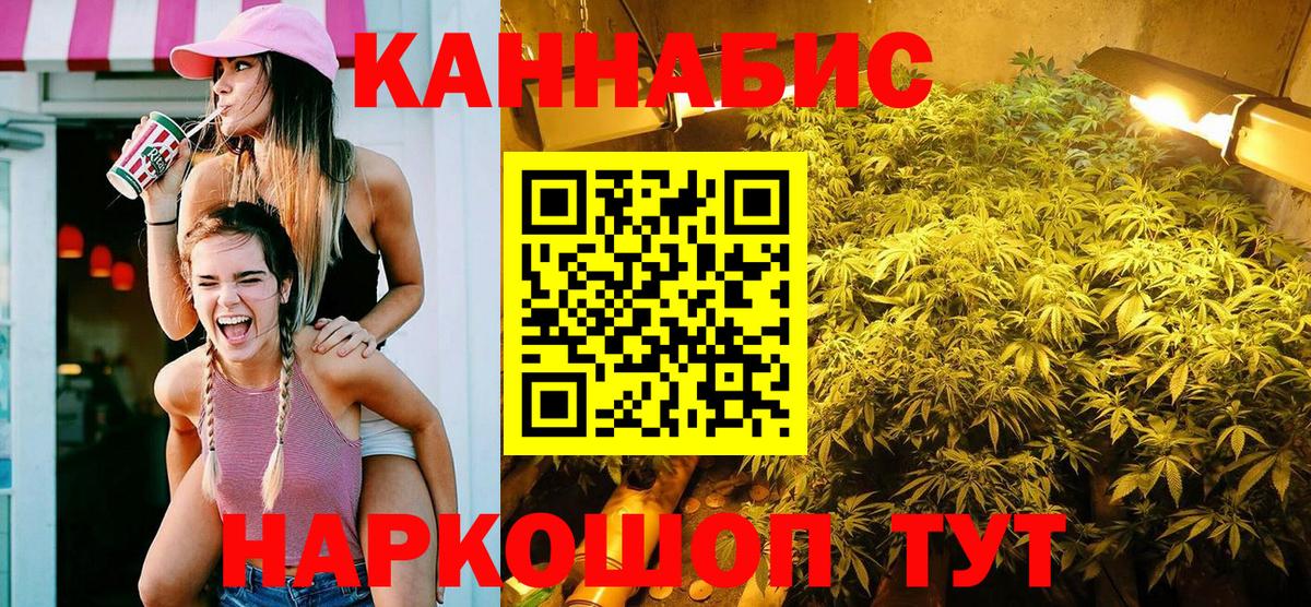 Бошки Шишки семена Ессентуки