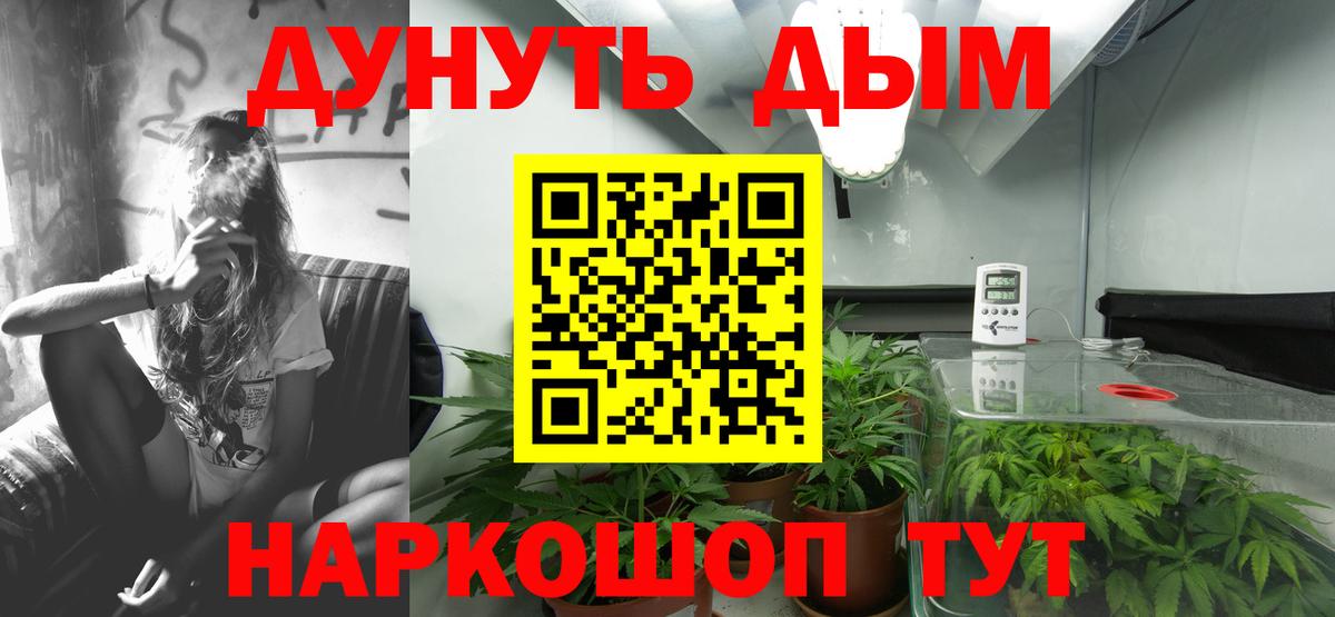 Бошки марихуана конопля  Канабис LSD WEED  Шишки марихуана семена  Вход с VPN  Каннабис планчик  Ессентуки 